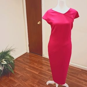 Vintage Jones New York Fuchsia Midi Dress Size 16